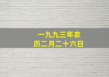 一九九三年农历二月二十六日