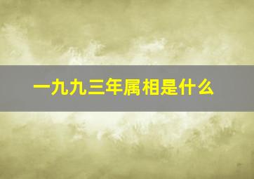 一九九三年属相是什么