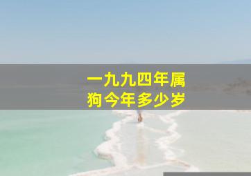 一九九四年属狗今年多少岁