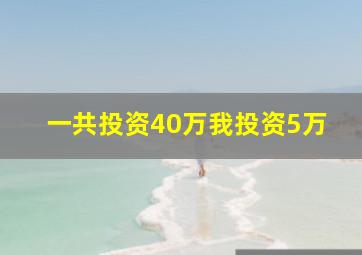 一共投资40万我投资5万