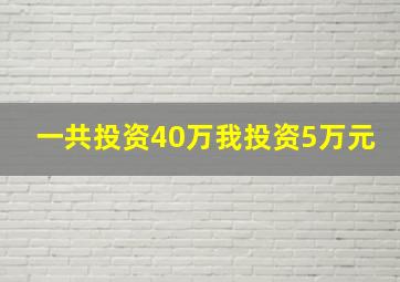 一共投资40万我投资5万元