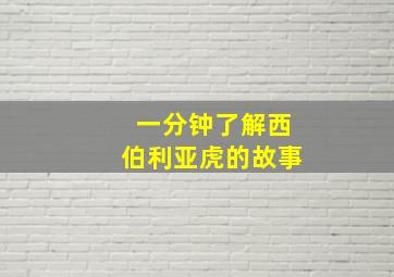 一分钟了解西伯利亚虎的故事