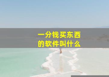 一分钱买东西的软件叫什么