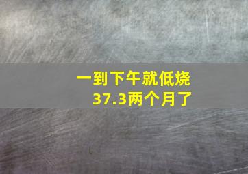 一到下午就低烧37.3两个月了