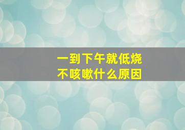 一到下午就低烧不咳嗽什么原因