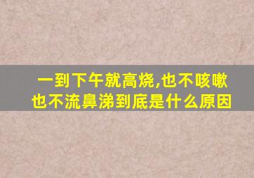 一到下午就高烧,也不咳嗽也不流鼻涕到底是什么原因