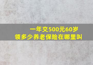 一年交500元60岁领多少养老保险在哪里叫