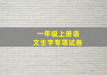 一年级上册语文生字专项试卷