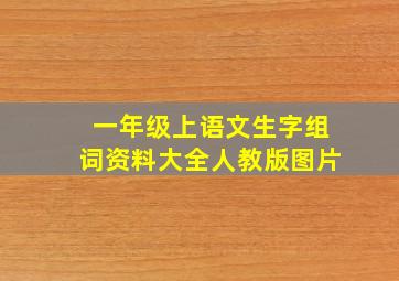 一年级上语文生字组词资料大全人教版图片