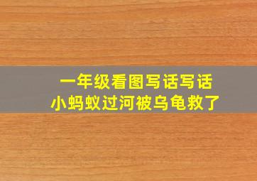 一年级看图写话写话小蚂蚁过河被乌龟救了