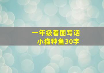 一年级看图写话小猫种鱼30字