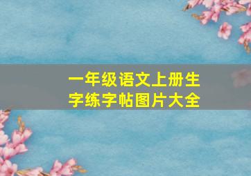 一年级语文上册生字练字帖图片大全