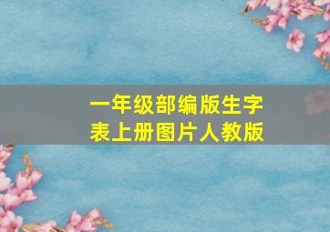 一年级部编版生字表上册图片人教版