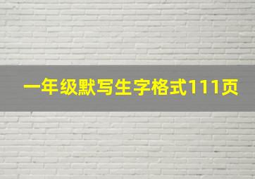 一年级默写生字格式111页