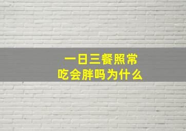 一日三餐照常吃会胖吗为什么