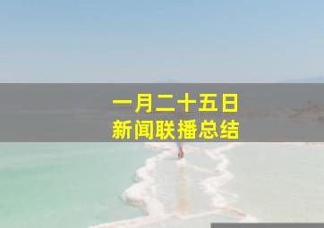 一月二十五日新闻联播总结