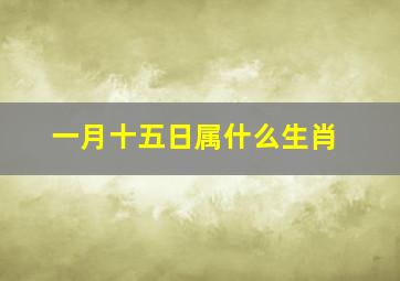 一月十五日属什么生肖