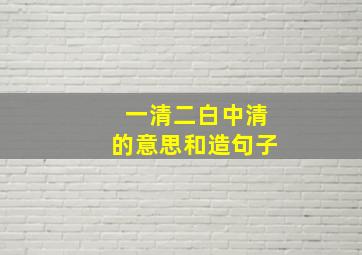 一清二白中清的意思和造句子