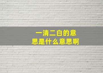 一清二白的意思是什么意思啊