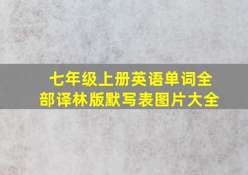 七年级上册英语单词全部译林版默写表图片大全