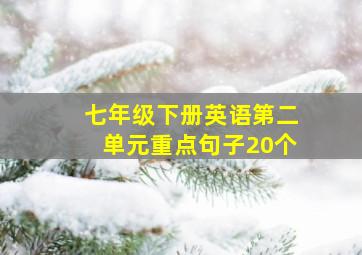 七年级下册英语第二单元重点句子20个