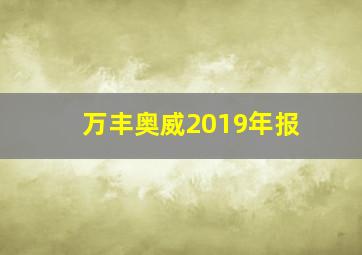 万丰奥威2019年报