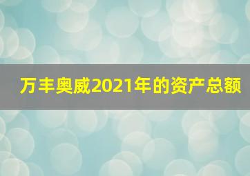 万丰奥威2021年的资产总额