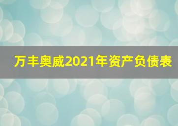 万丰奥威2021年资产负债表