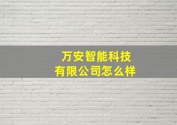 万安智能科技有限公司怎么样