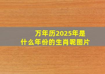 万年历2025年是什么年份的生肖呢图片