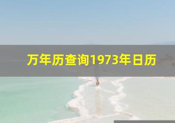 万年历查询1973年日历