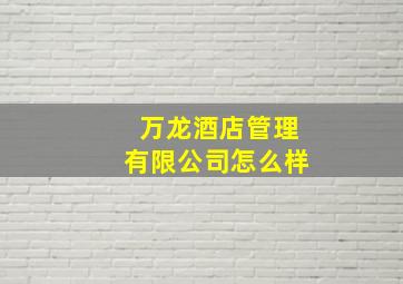 万龙酒店管理有限公司怎么样