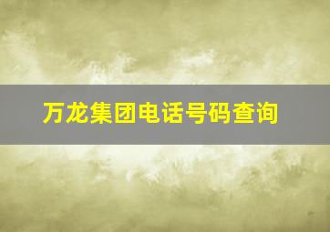 万龙集团电话号码查询