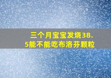 三个月宝宝发烧38.5能不能吃布洛芬颗粒