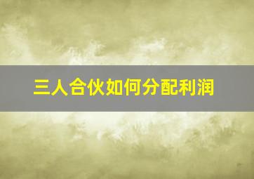 三人合伙如何分配利润