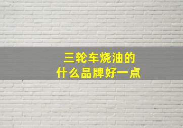 三轮车烧油的什么品牌好一点