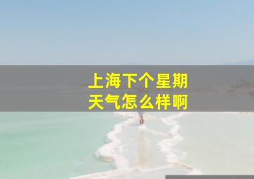 上海下个星期天气怎么样啊