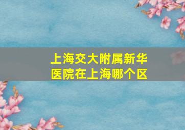 上海交大附属新华医院在上海哪个区