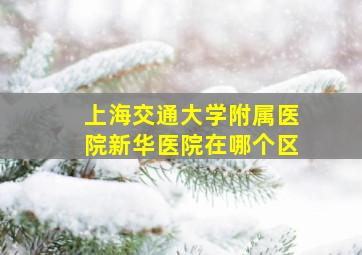 上海交通大学附属医院新华医院在哪个区