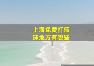 上海免费打篮球地方有哪些