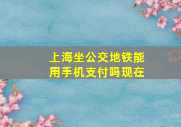 上海坐公交地铁能用手机支付吗现在