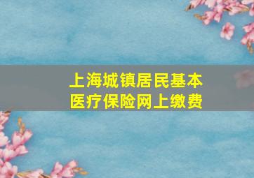 上海城镇居民基本医疗保险网上缴费