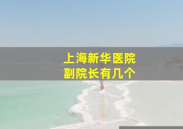 上海新华医院副院长有几个