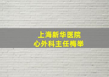 上海新华医院心外科主任梅举