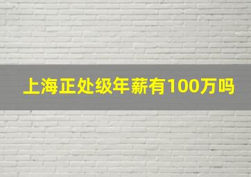 上海正处级年薪有100万吗