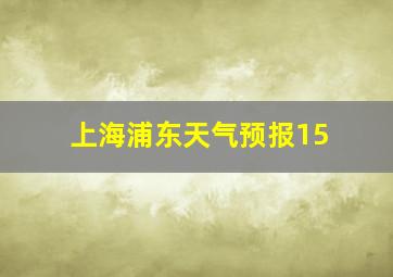 上海浦东天气预报15