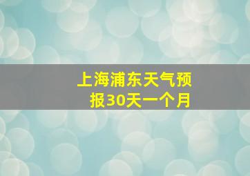 上海浦东天气预报30天一个月