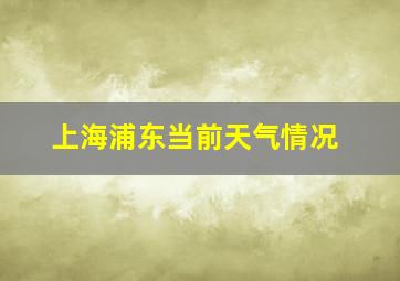 上海浦东当前天气情况