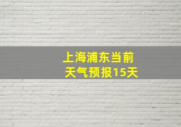 上海浦东当前天气预报15天