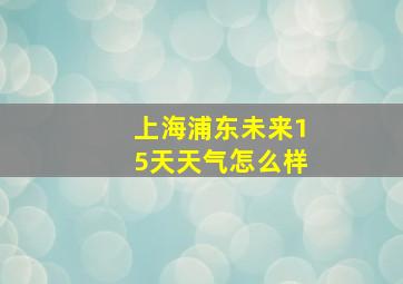 上海浦东未来15天天气怎么样